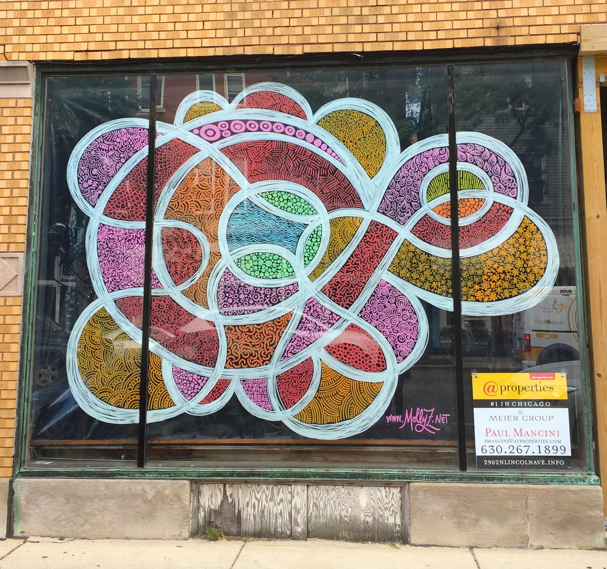 MollyZ_Lakeview5.jpg