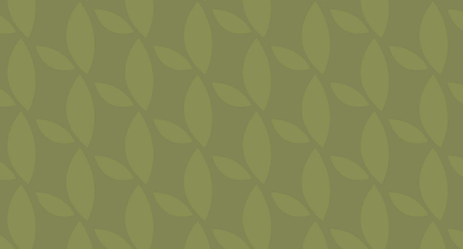 banner_pattern.jpg