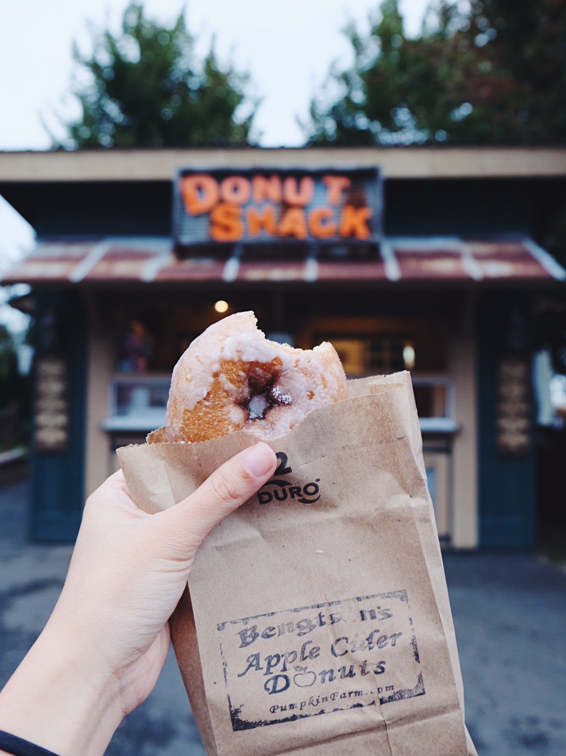 Bengtson’s Pumpkin Farm - apple cider donut Classic apple cider donut that takes you back to being a kid. Running around in an apple orchard and a corn maze. Time for a hayride!