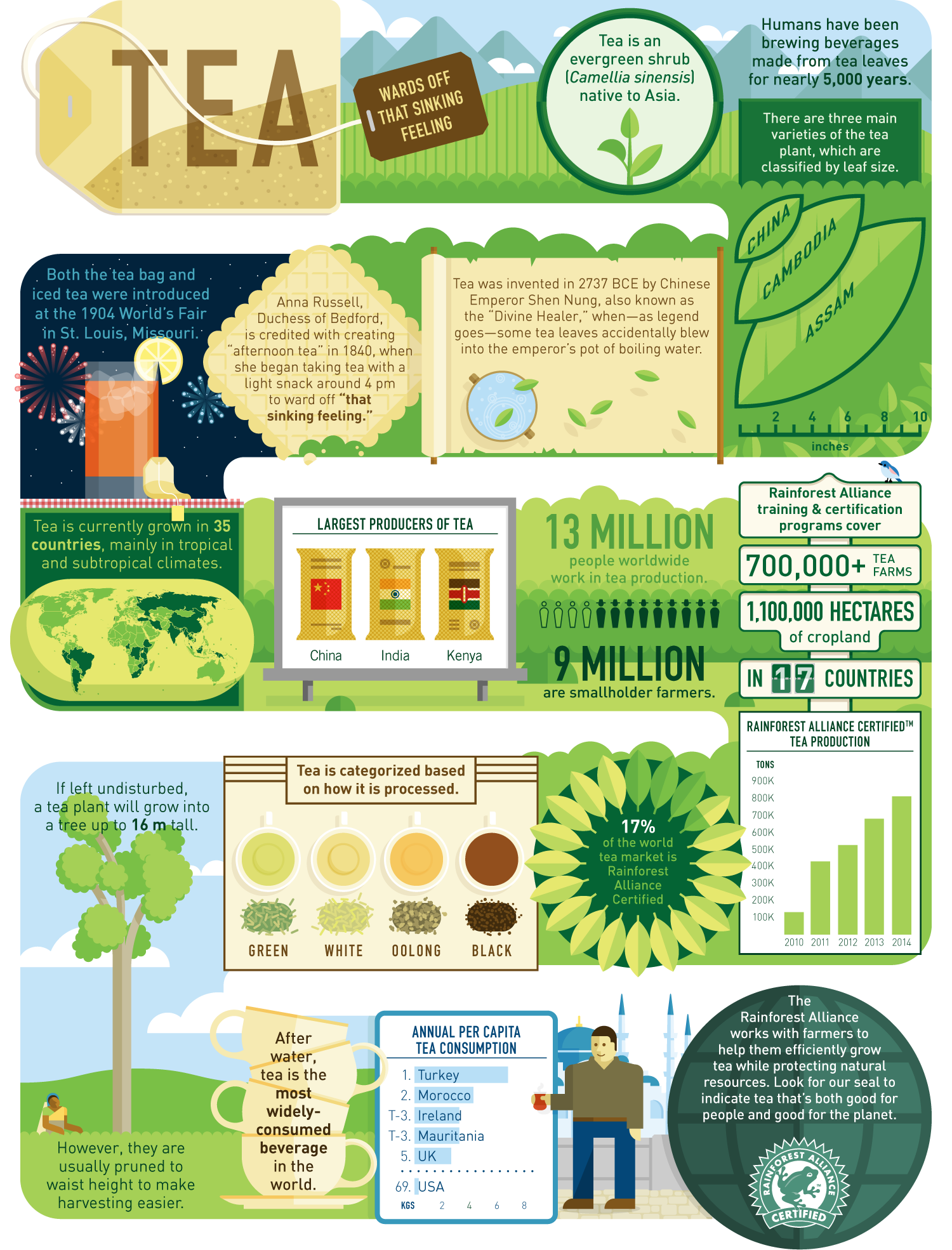 RA_infographic_tea.png
