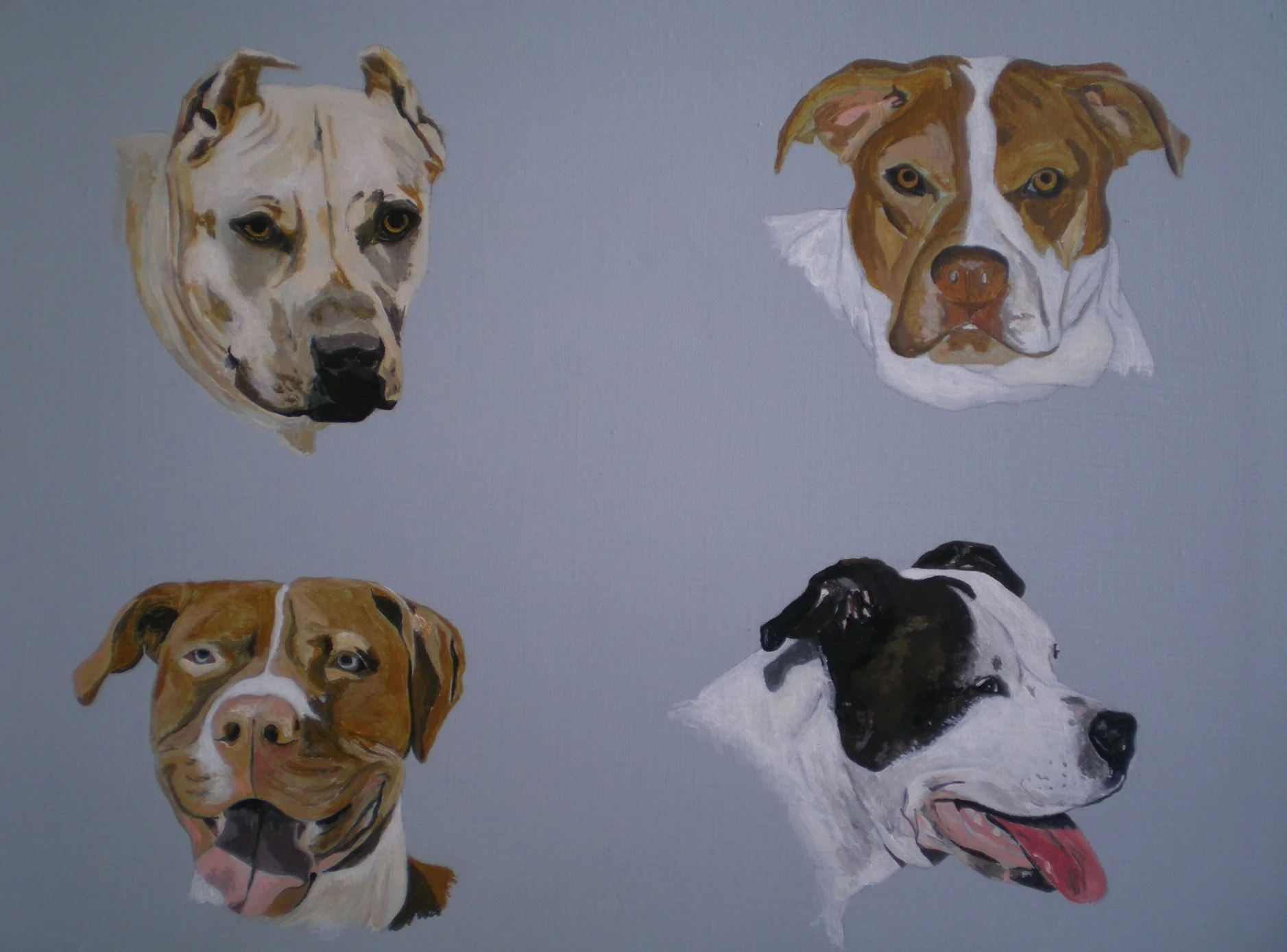 My first commissioned animal portrait.