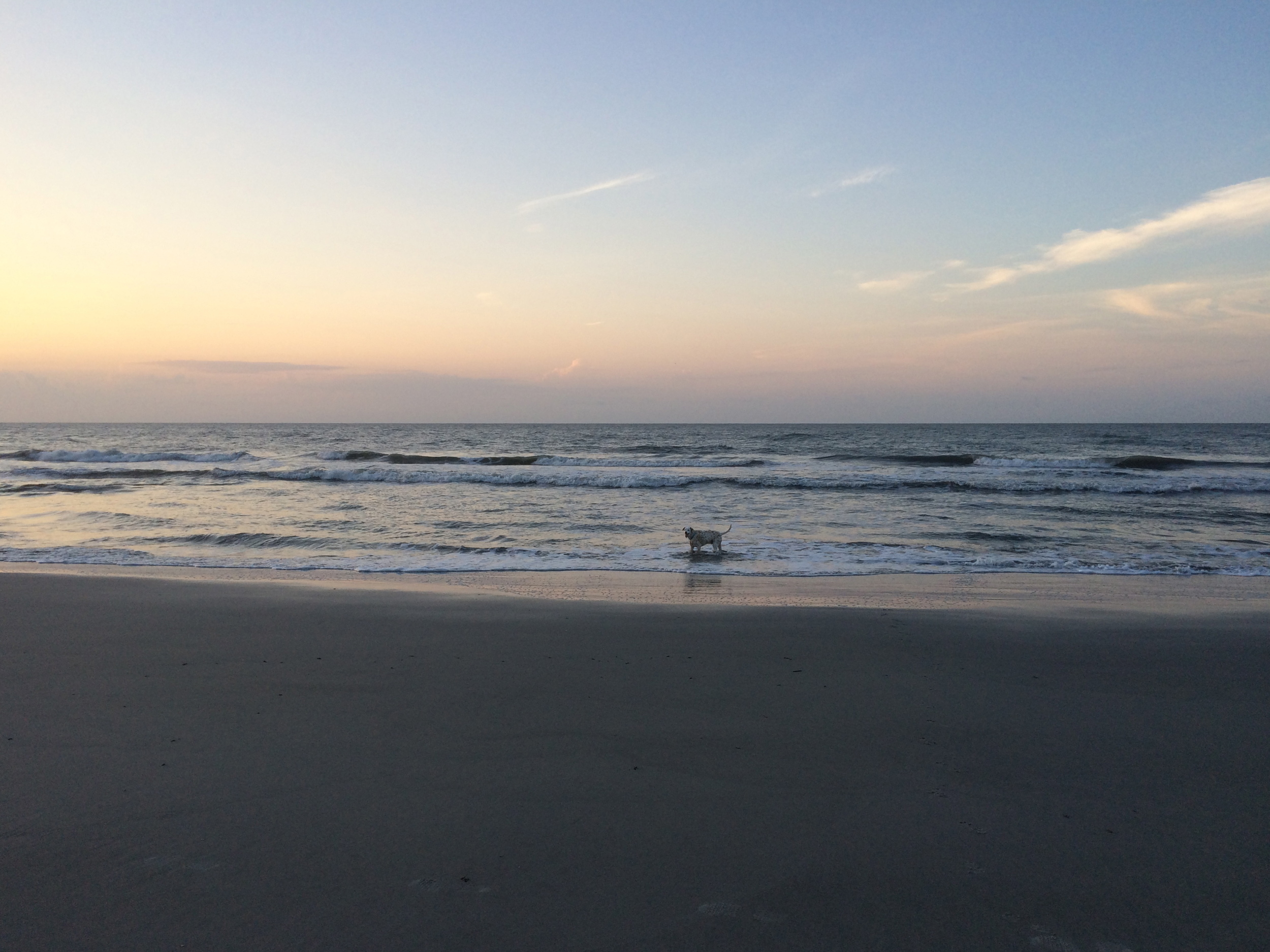  Sunrise swims with Lou at Folly. 