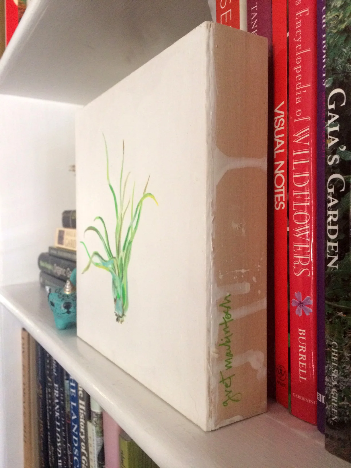 air plant 5b.jpg