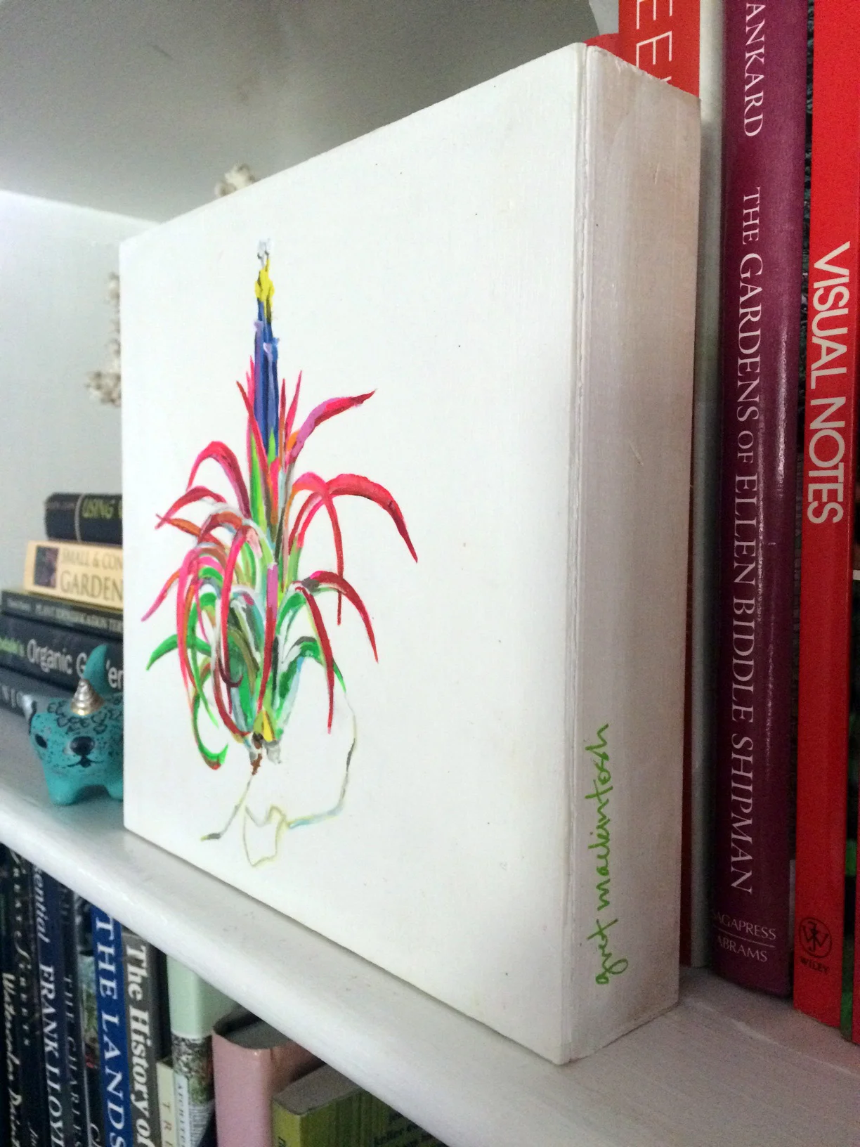 air plant 1b.jpeg