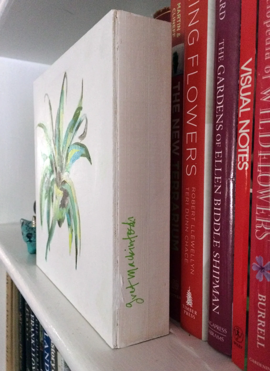 air plant 10b.jpg