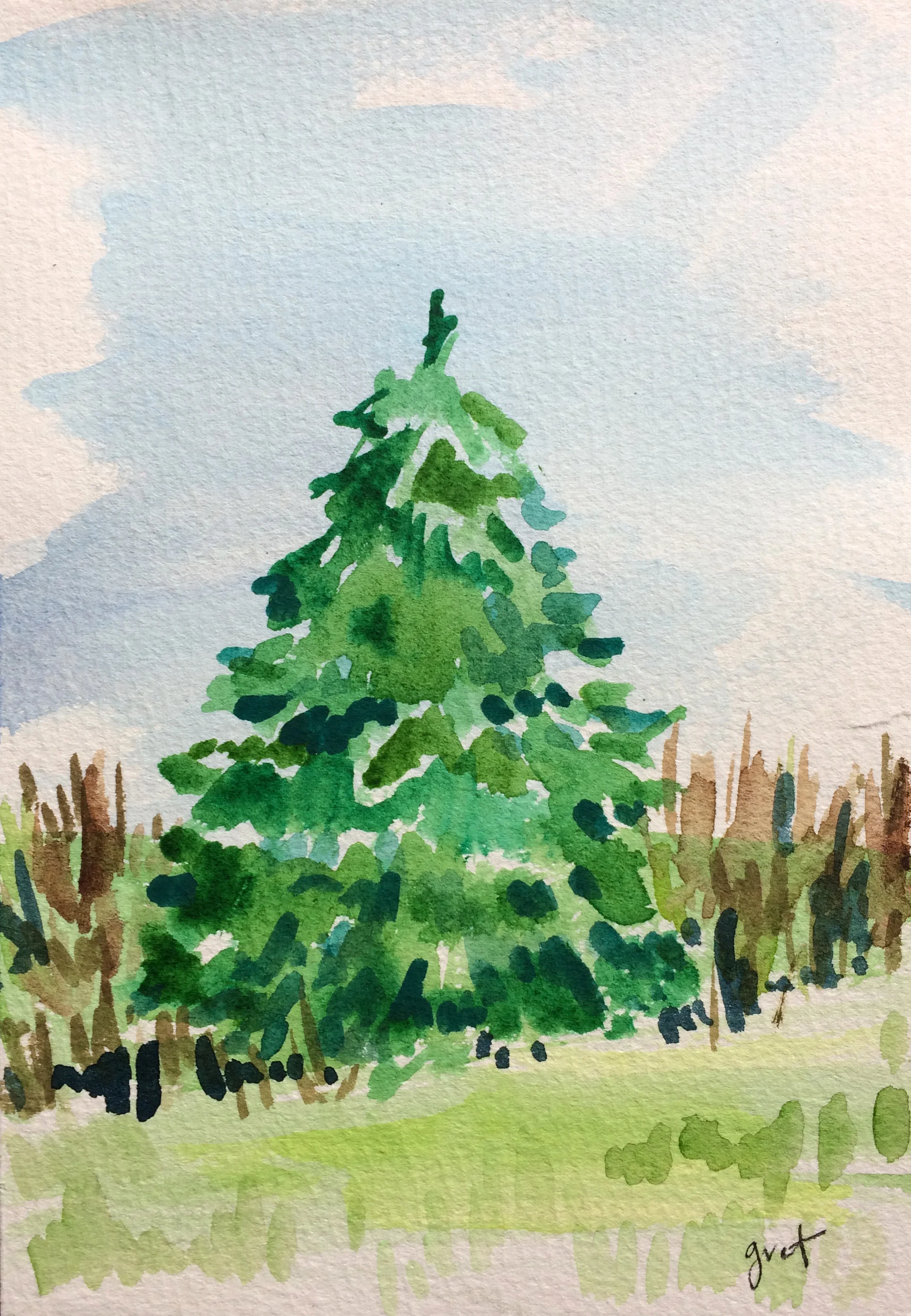 tree.jpg