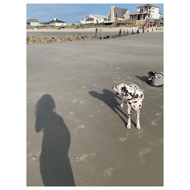 Friday morning beach swim w my best bud - and 34 weeks tomorrow!🤰