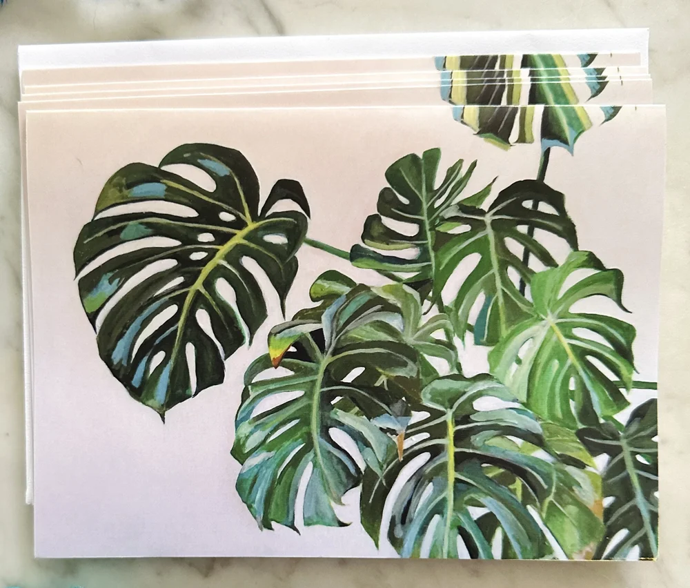 philodendron white wave birkin Buy Philodendron Birkin 'White Wave'
