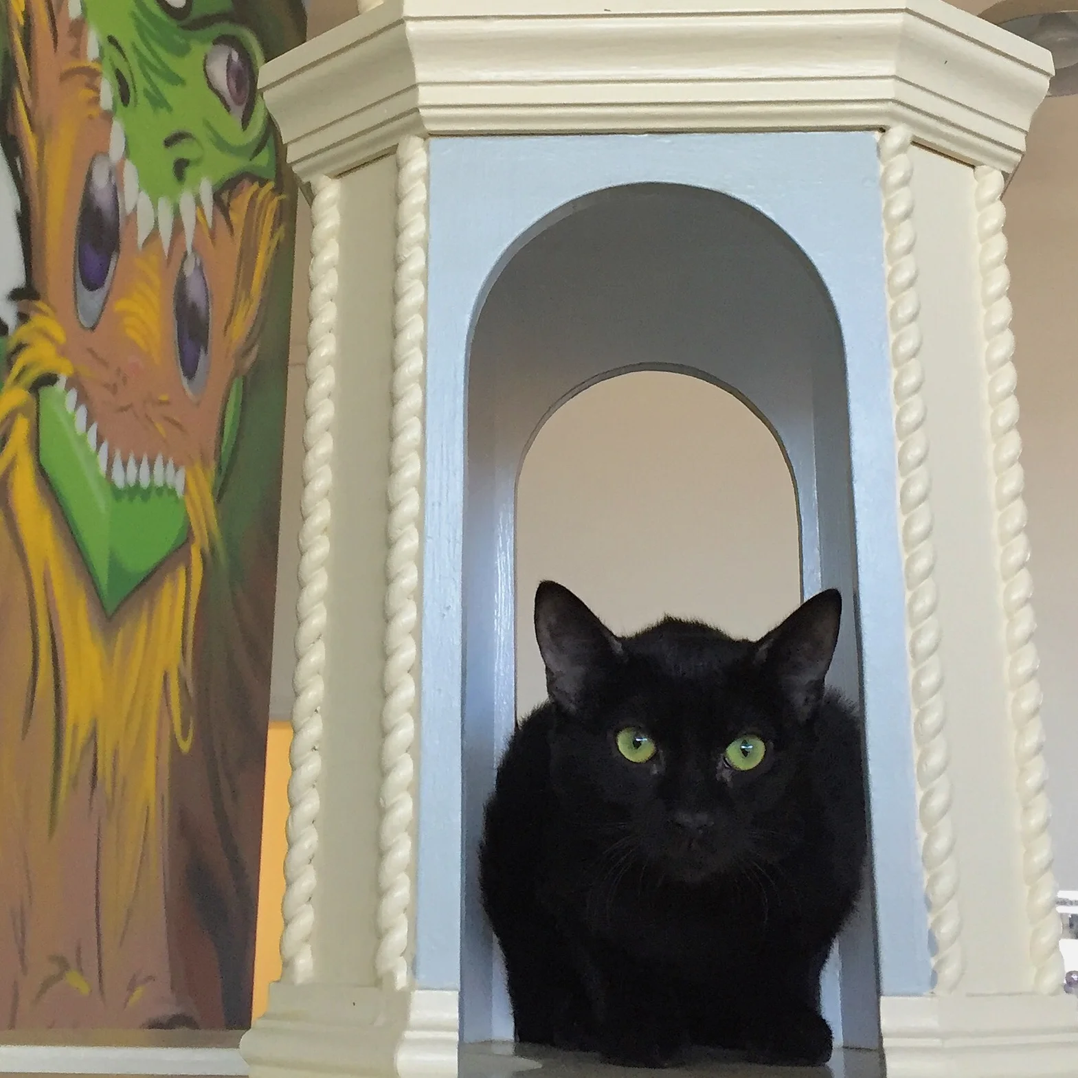 Irina, 5months, Female, Bonded with Shiner