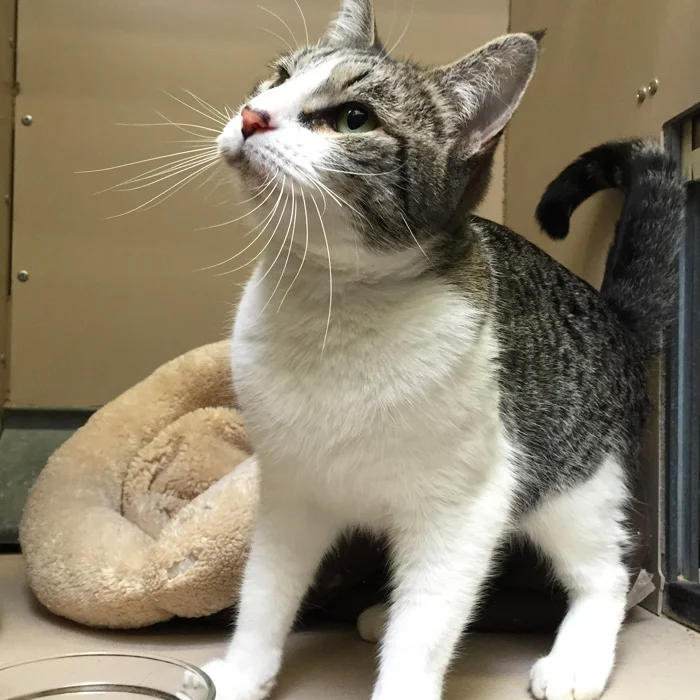 LYRIC, 2 YEARS, FEMALE