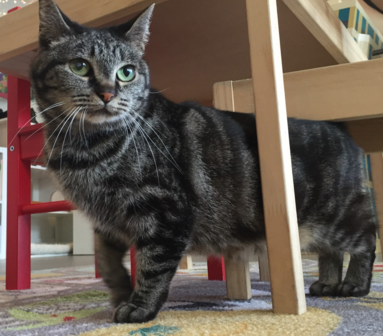 Annika, 5 Years, Female