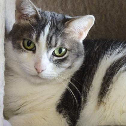ELLA, 9 YEARS, FEMALE