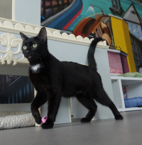 NANA, 1-2 YEARS, FEMALE