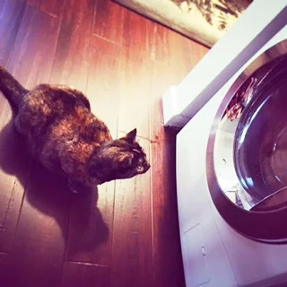 EMMA, 3 YEARS, FEMALE