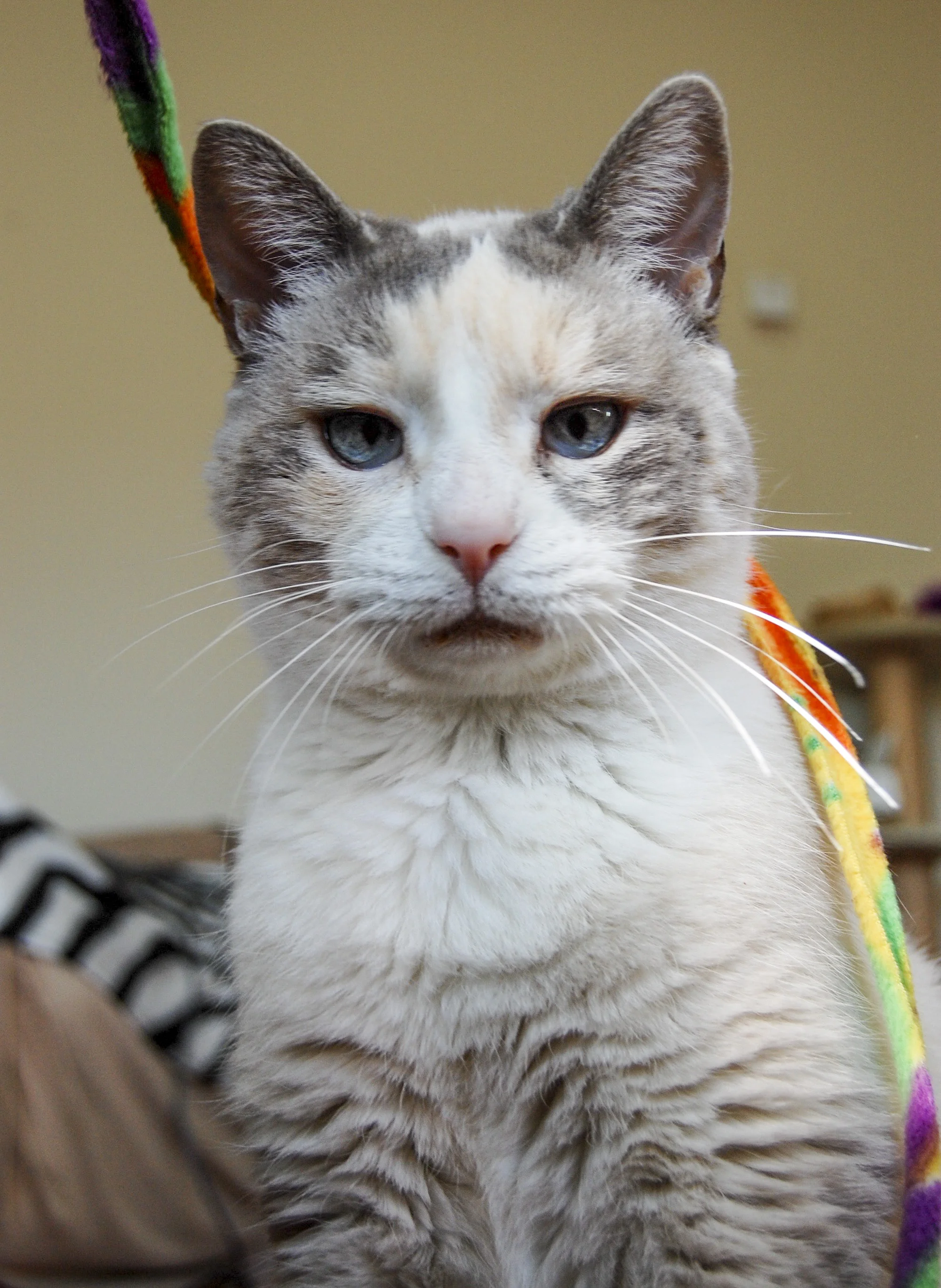 NANCY, 15 YEARS, FEMALE
