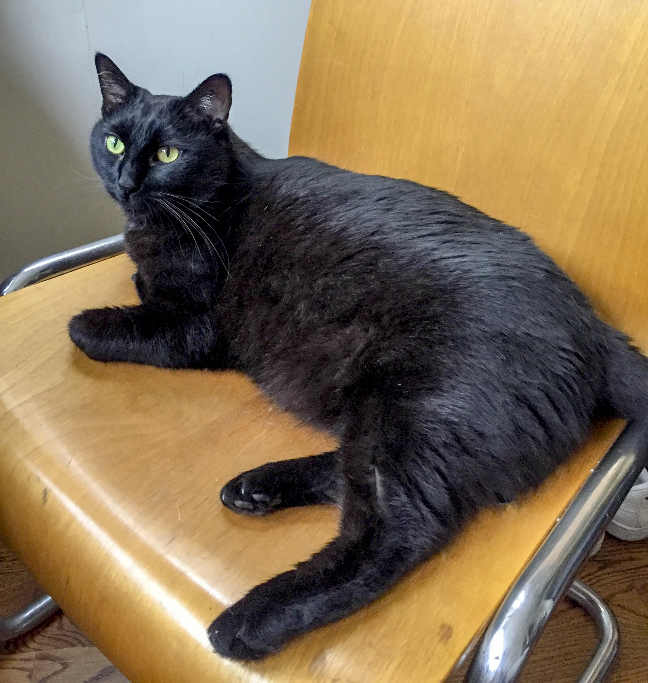 MIRANDA, 3-4 YEARS, FEMALE