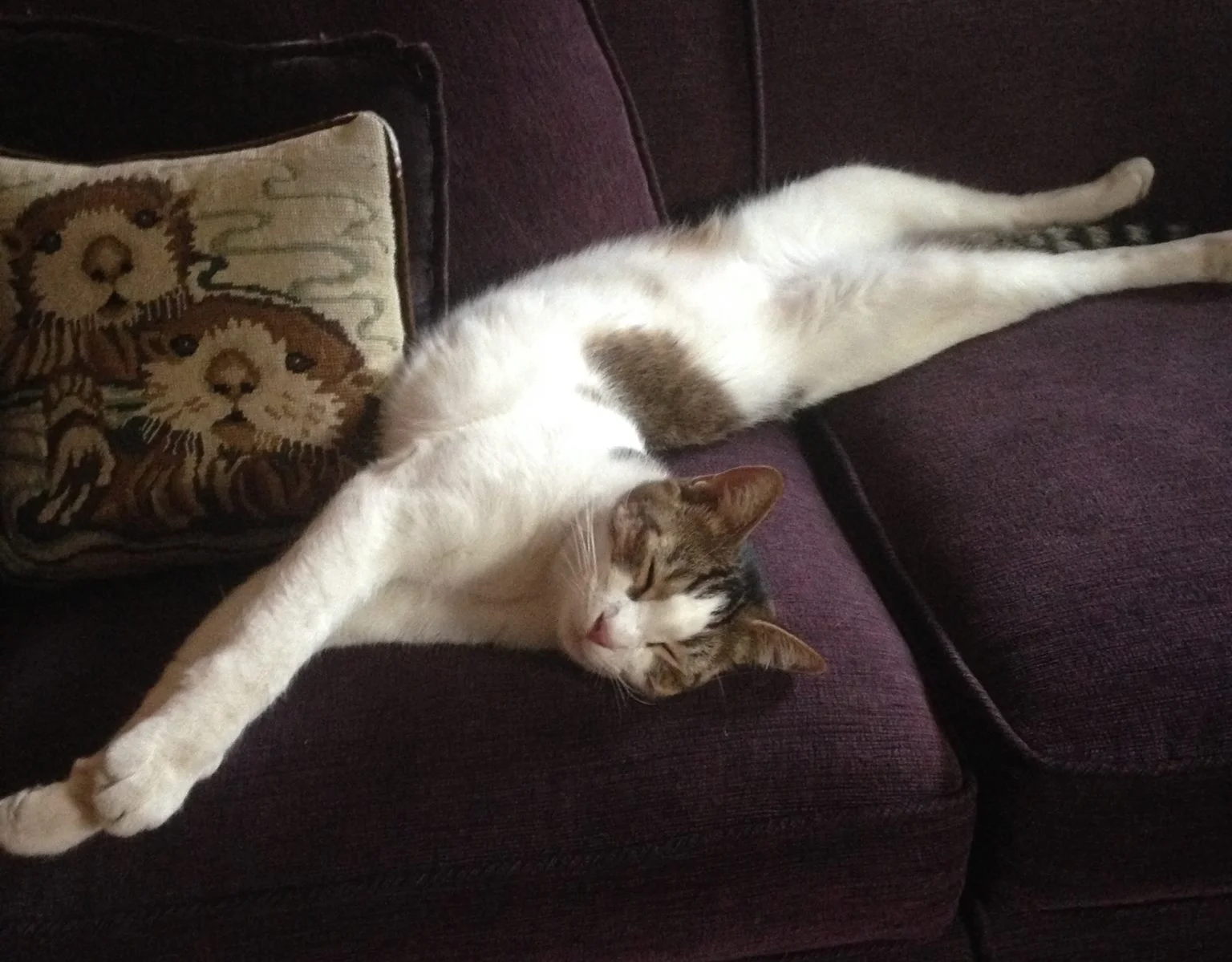 Boeing, adopted July 2016