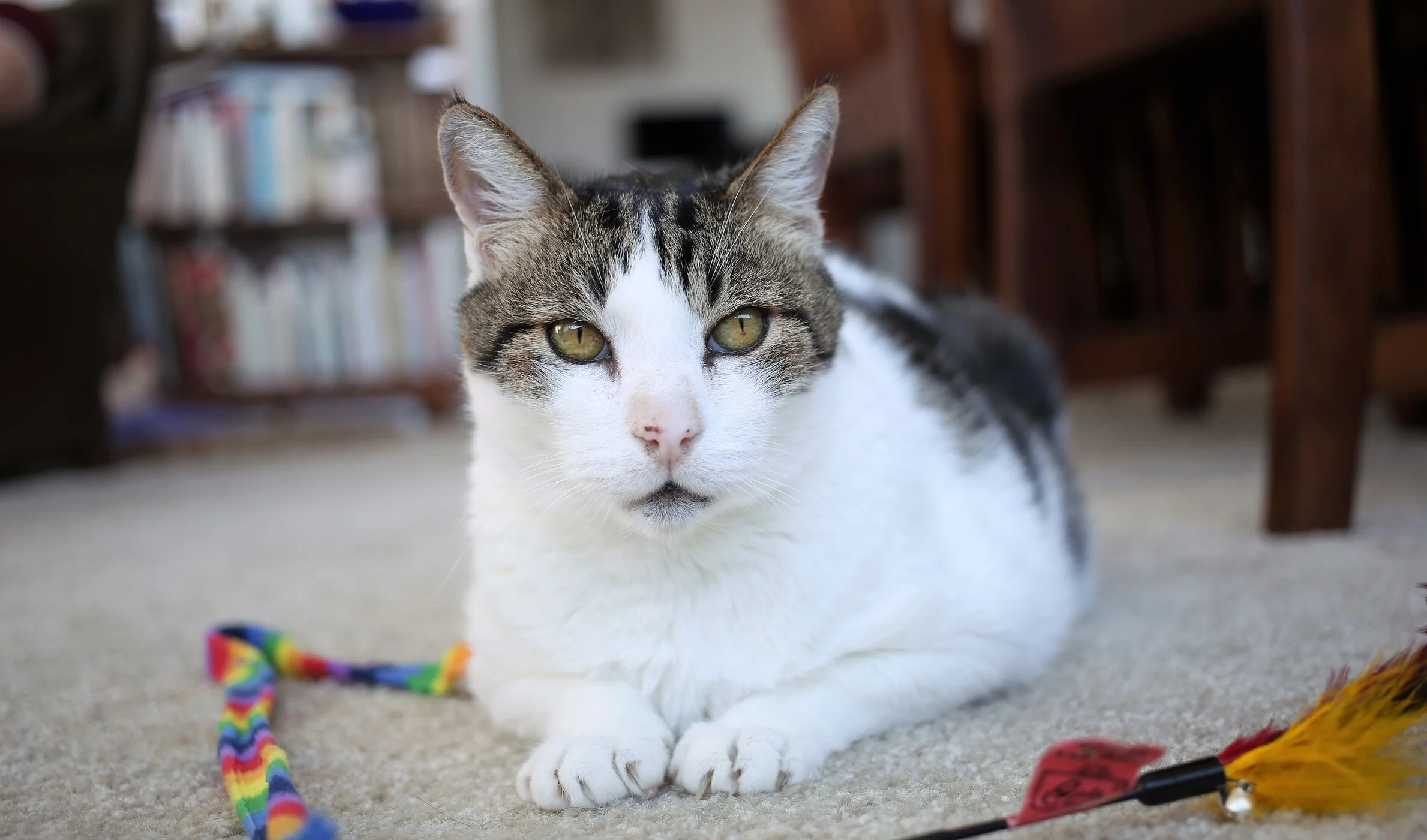Newman might be 10-years-old, but he doesn't let that stop him from playing to his heart's content!