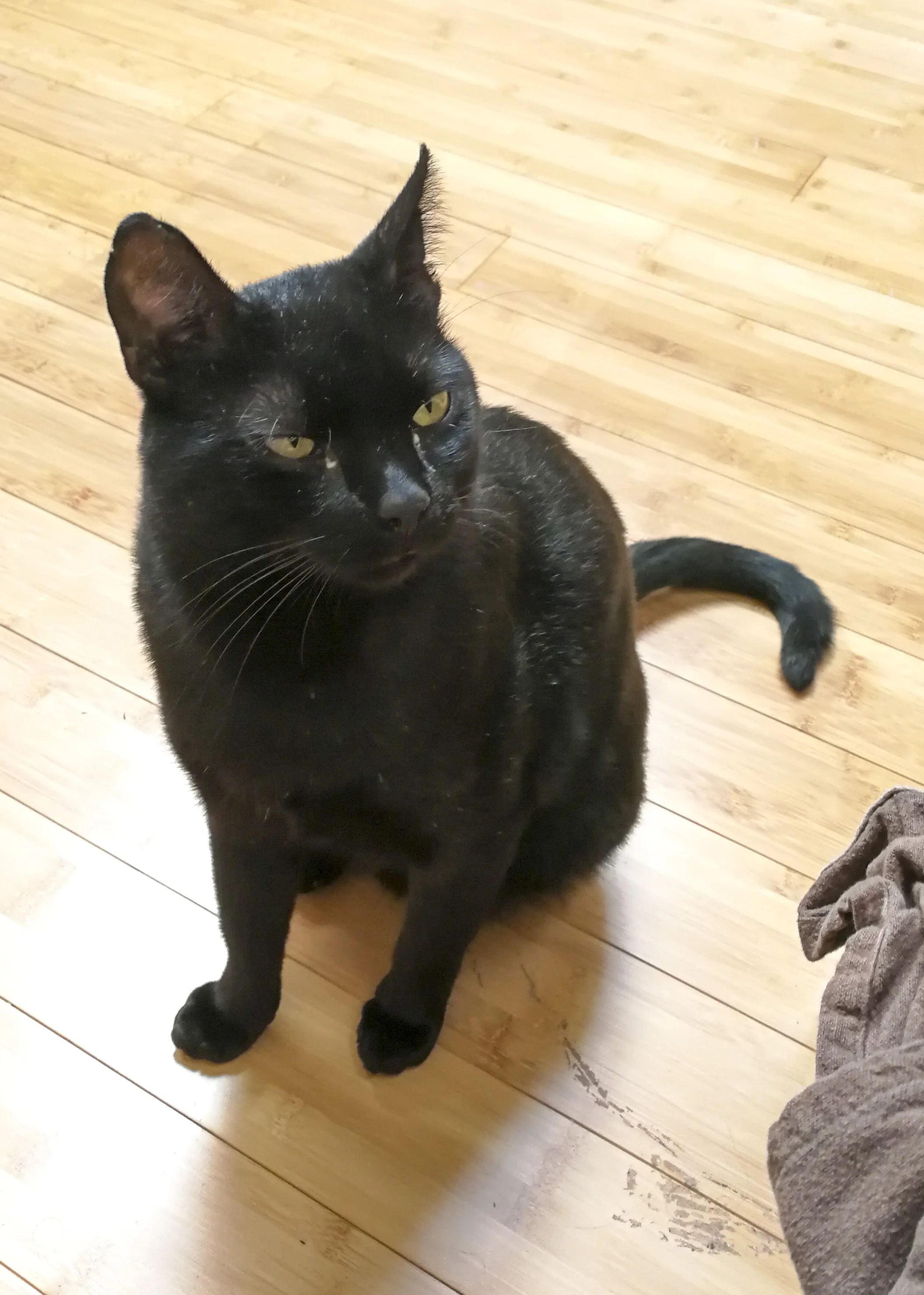 MONDO, 3-4 YEARS, MALE