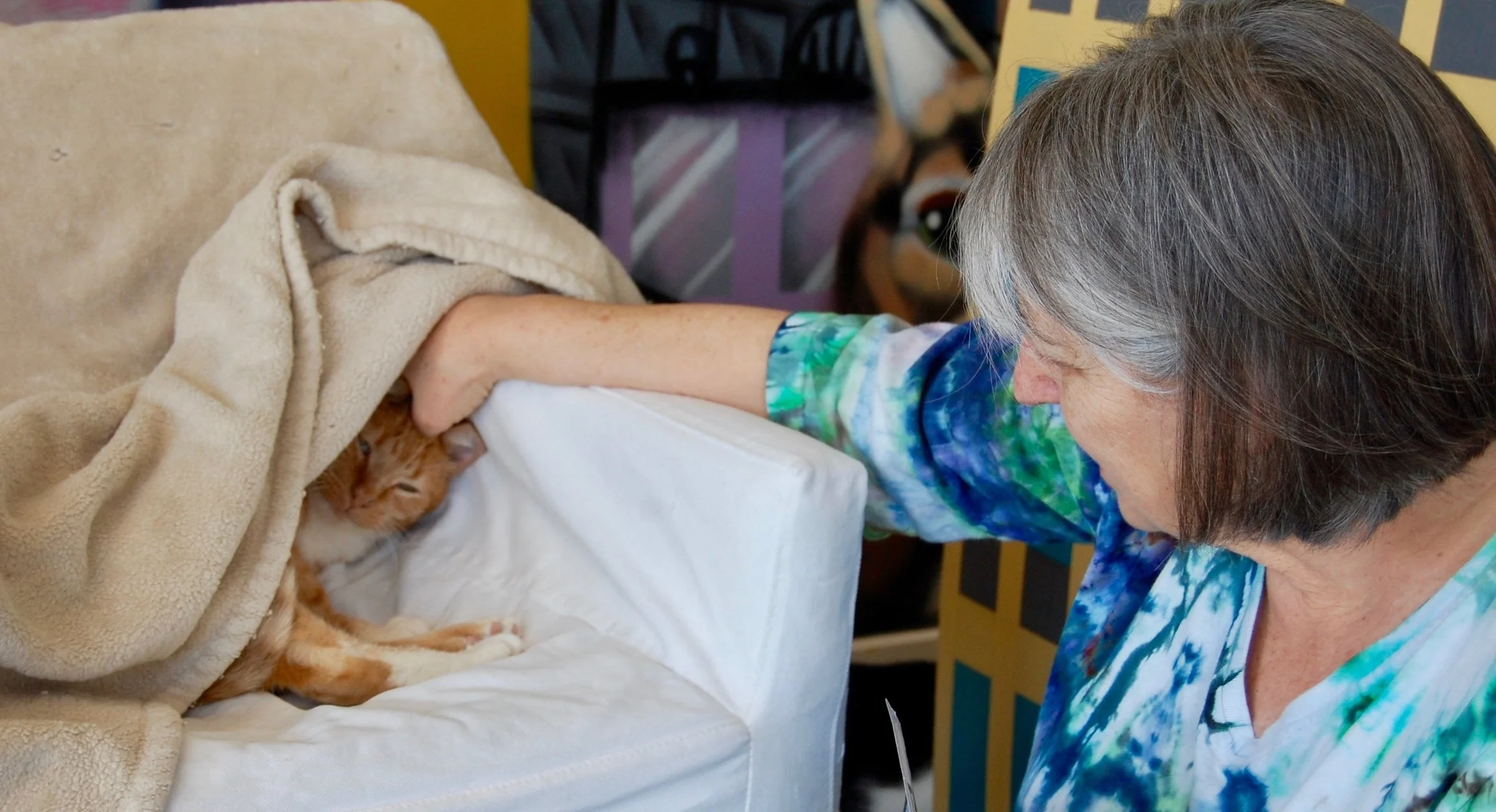 Julie is one of the volunteers working to help shyer cats like Herman build positive relationships with humans in the Cat Zone. Photo by Cathy Niland.