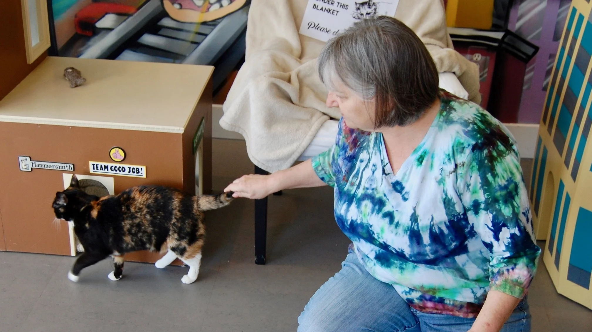 Star (pictured here) is up for adoption, and as a trained Adoption Counselor, Julie could be the volunteer to connect Star to her match! Photo by Cathy Niland.