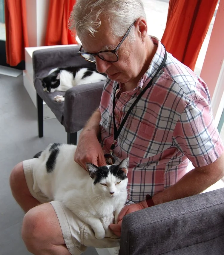 Jamie is a regular volunteer at the shelter and at Cat Town. Photo by Cathy Niland.