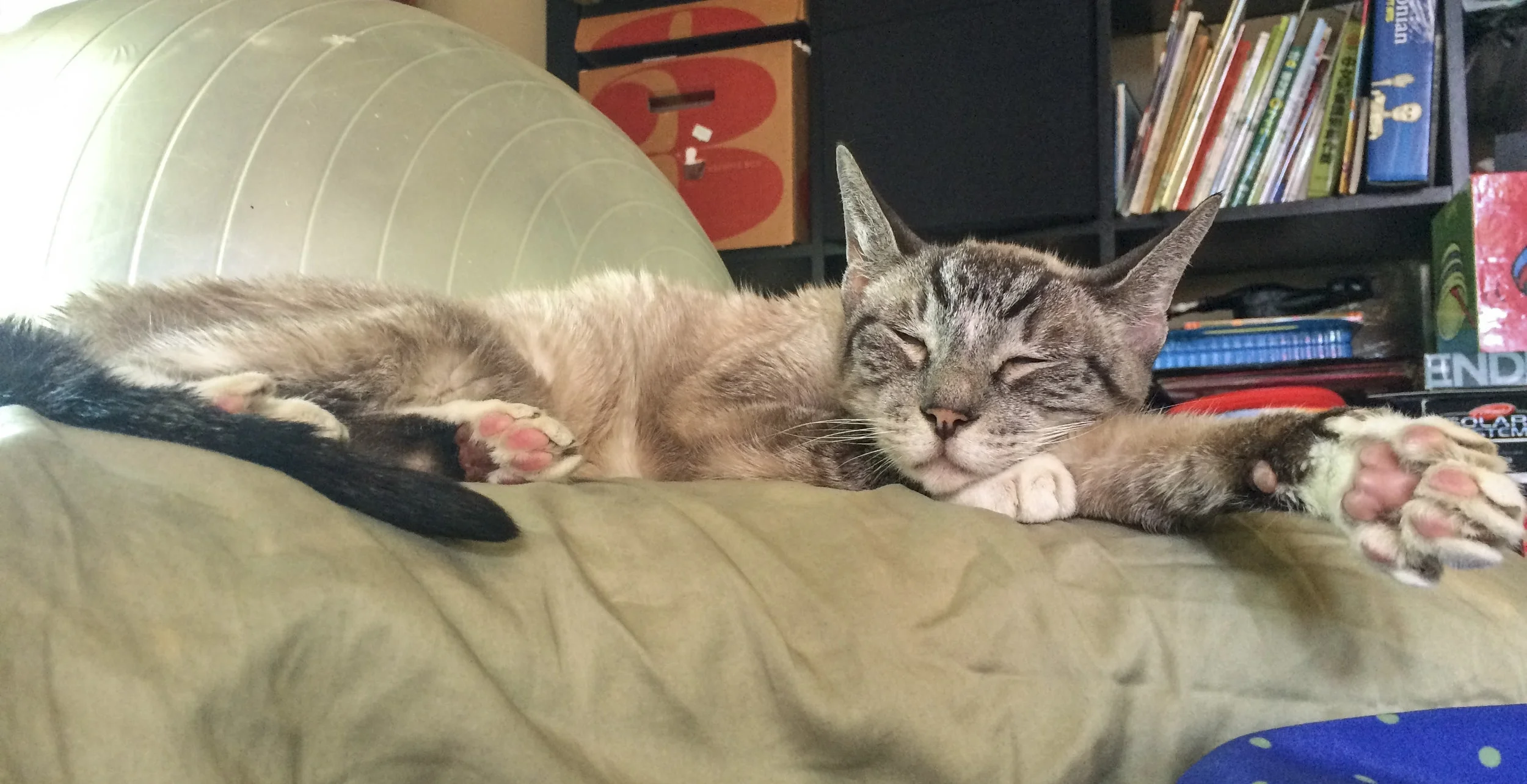 Ruby-092717-cc-2.jpg