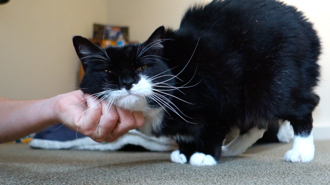 With surgery behind her, Did was comfortable enough to show her true, loving self.