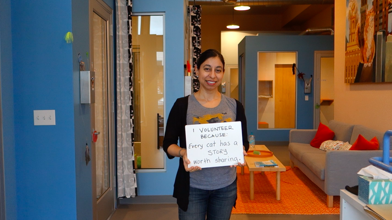 Kathrine shares her reason for joining Cat Town in a recent volunteer spotlight.