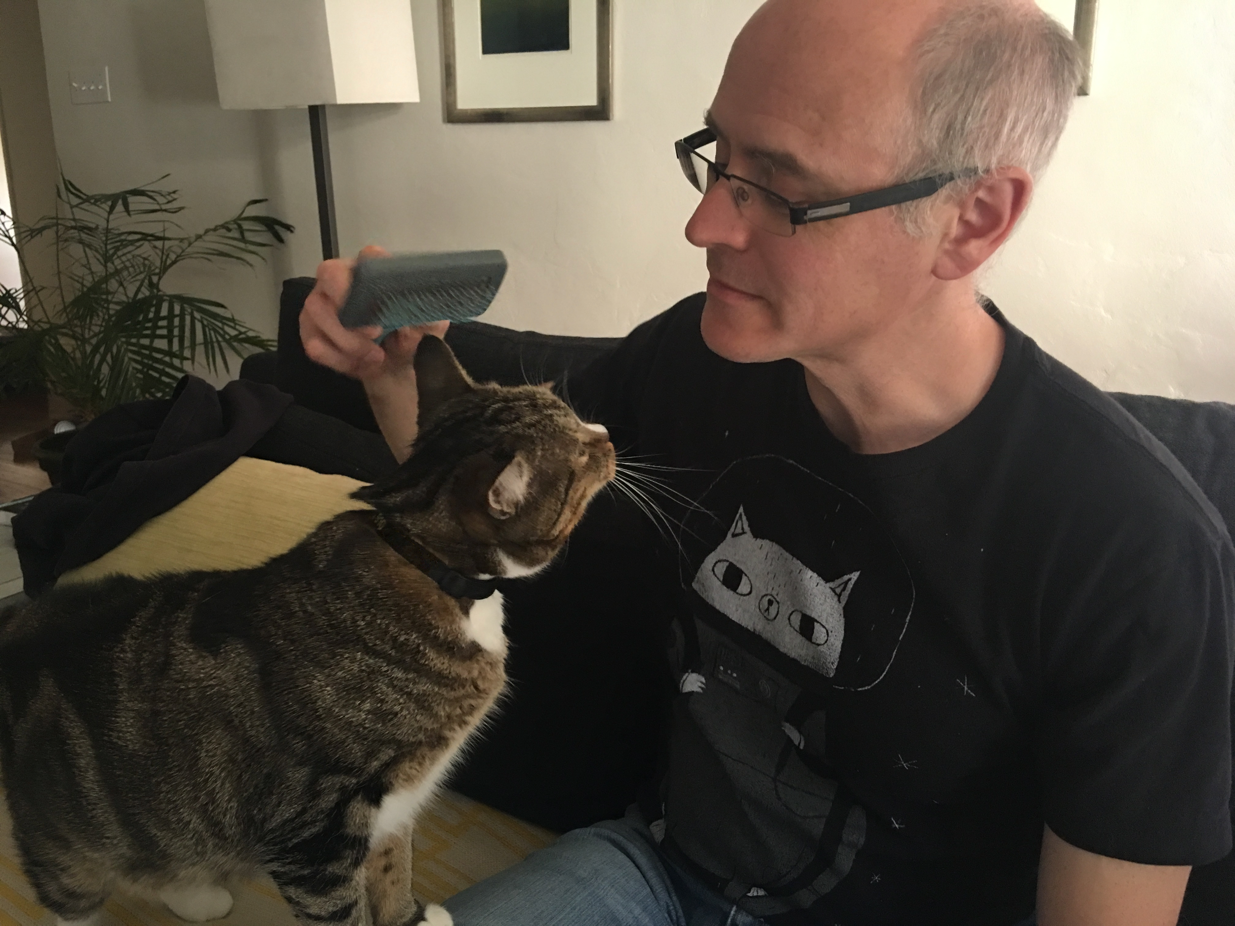 Sad Tabby no more—Briggs is home. Photo courtesy of Loraine McVey.