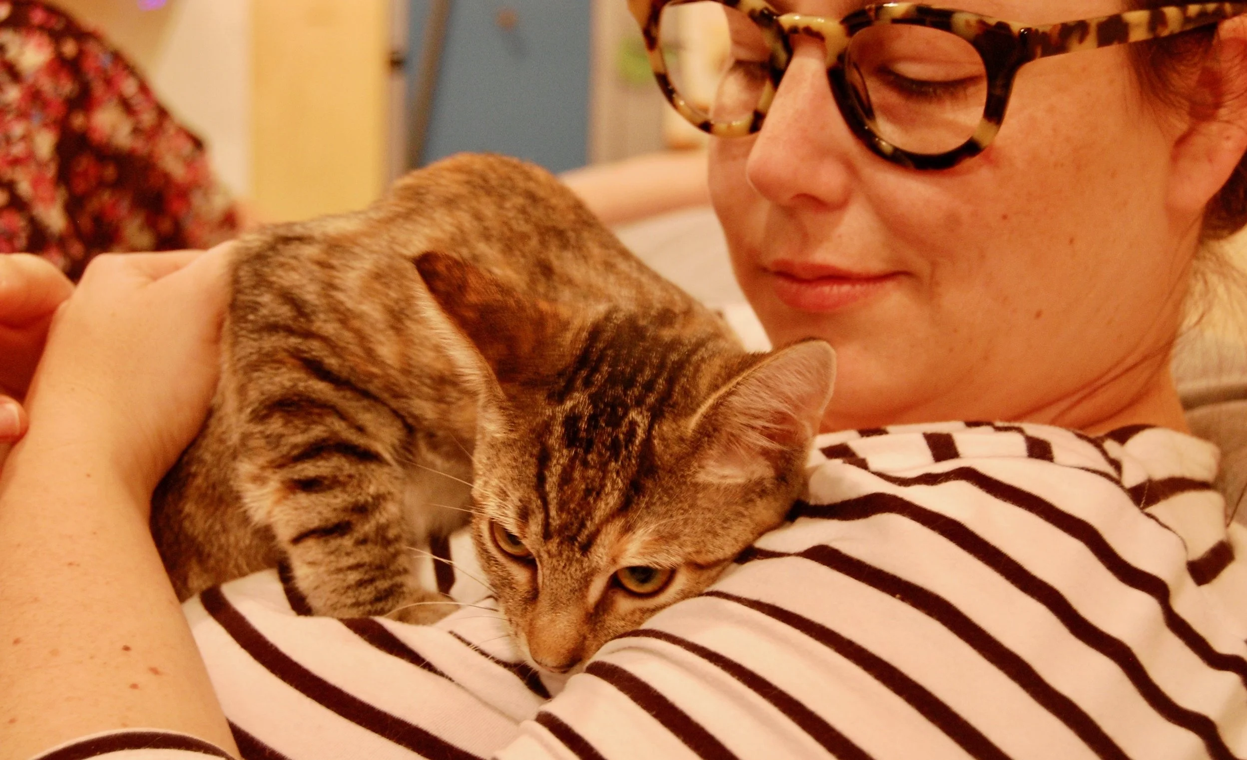 Ginny with Oak, a 2017 graduate of the Forgotten Kitten Project. Photo by Cathy Niland.