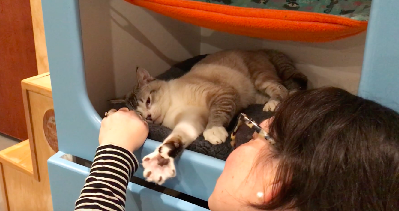 Volunteer of the Month: Ginny L.
