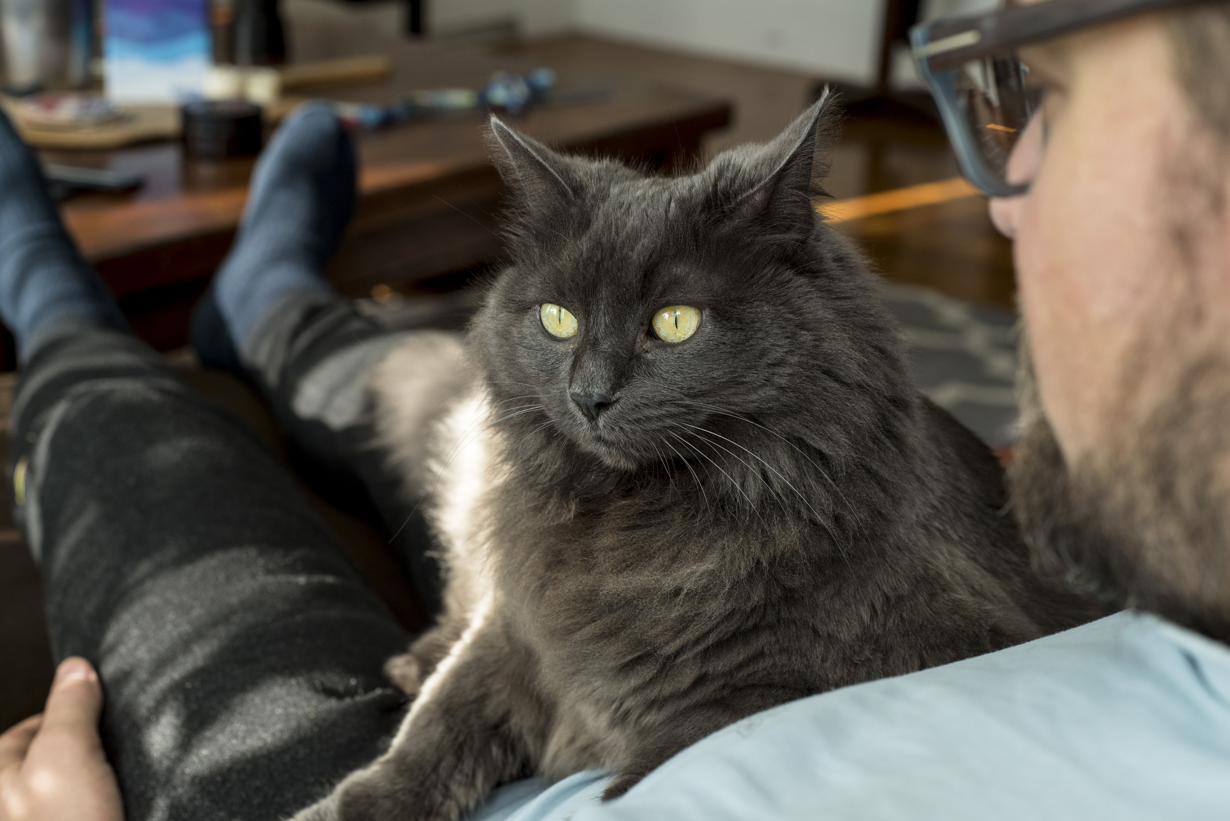 March 2018 Adoptions