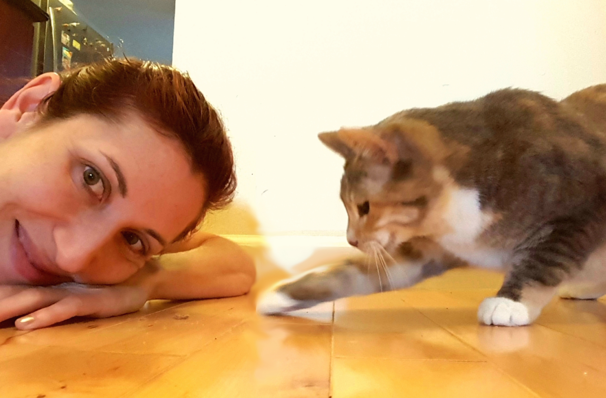 From Street Cat to Sweet Cat - Against All Odds