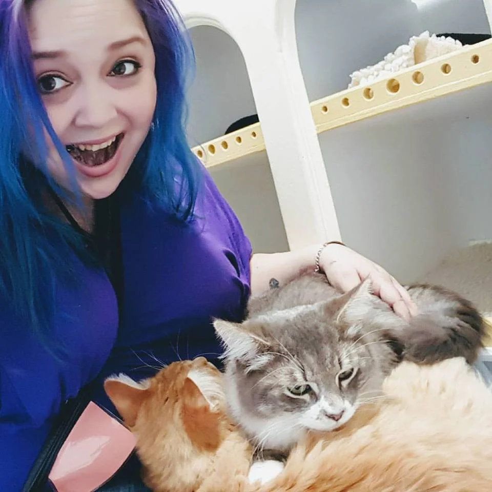 Shanti with bonded brothers, Rico and Shaz, during a volunteer shift in the Cat Zone. 