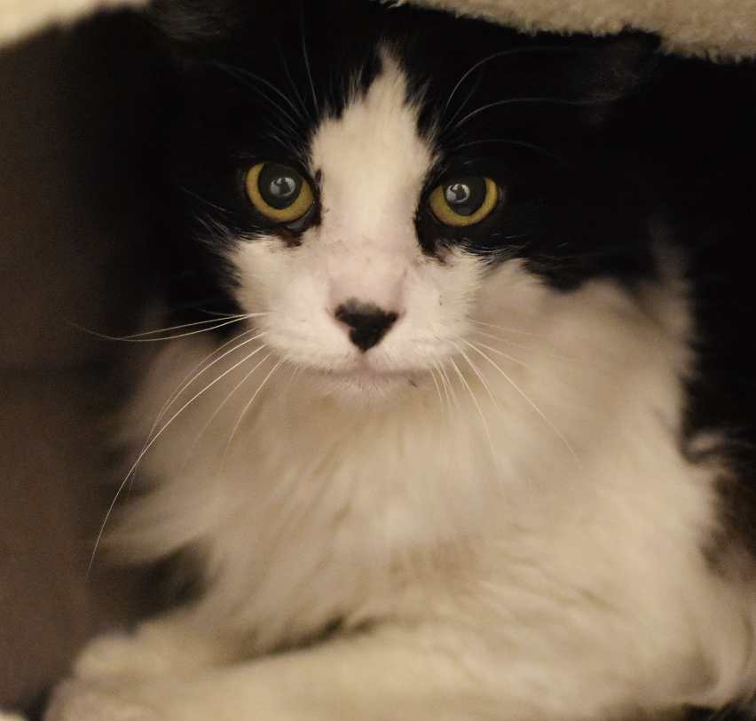 NAOMI, 8-9 YEARS, FEMALE