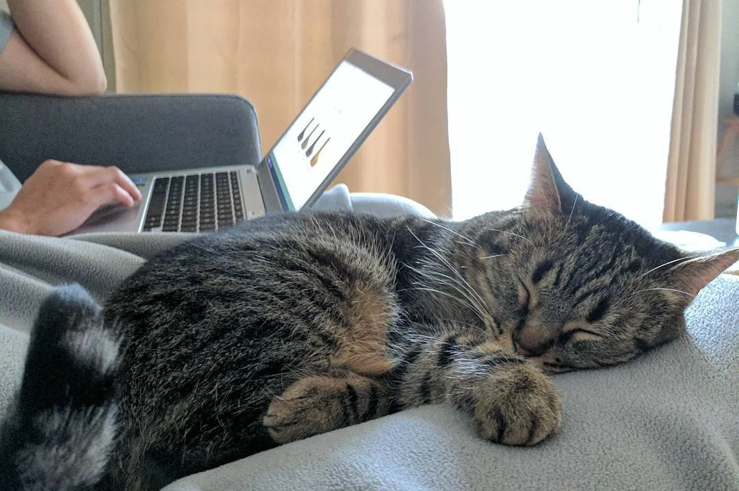 Resting and relaxing at home. Photo courtesy of @the_feisty_sophia on Instagram.