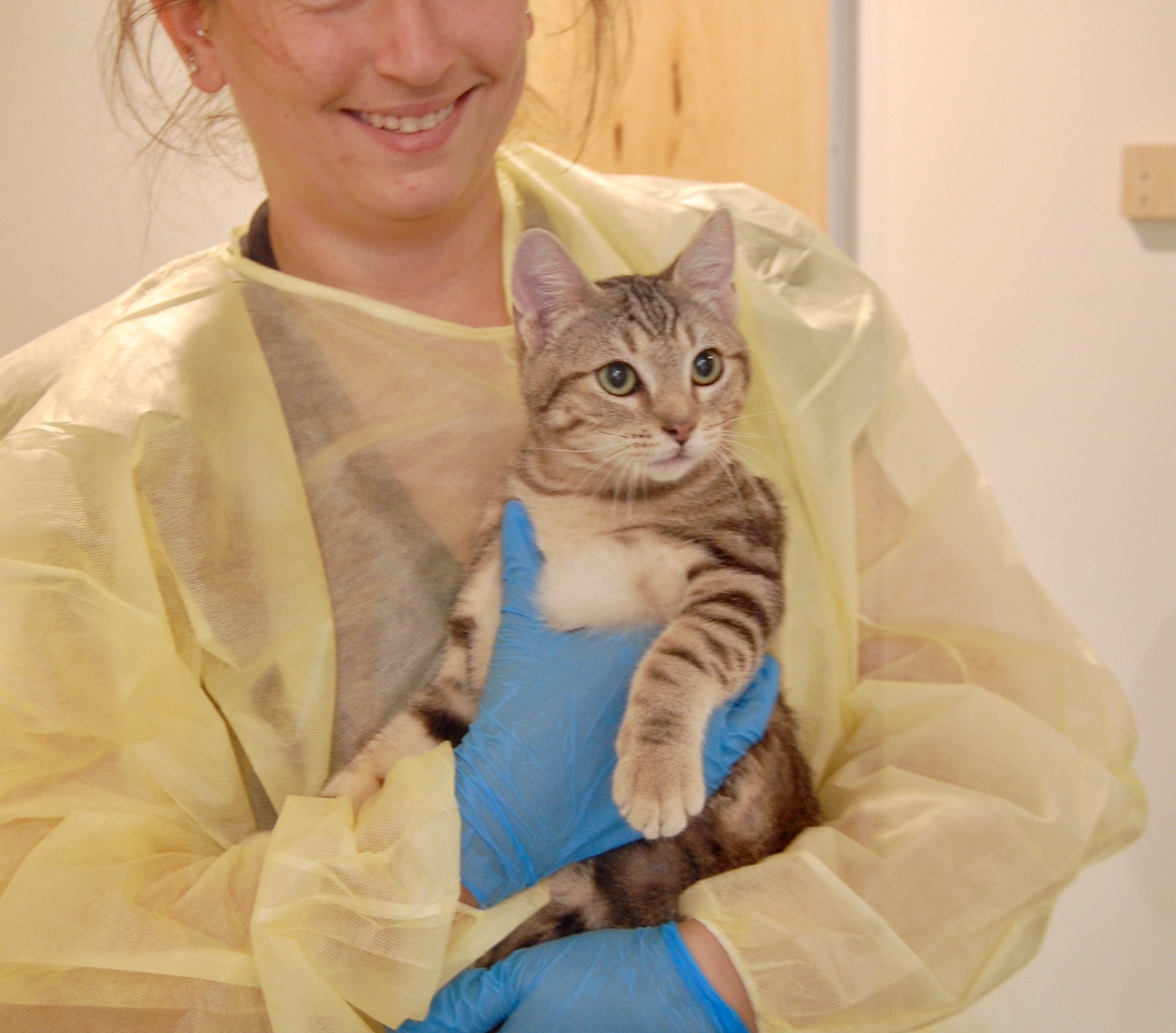 The Truth About Ringworm