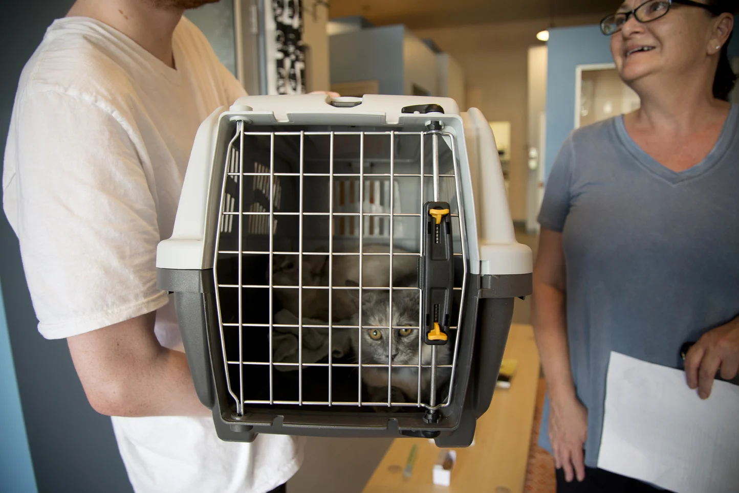 Leaf heading home with her new family on adoption day. Photo by Marie-Luise Klotz.