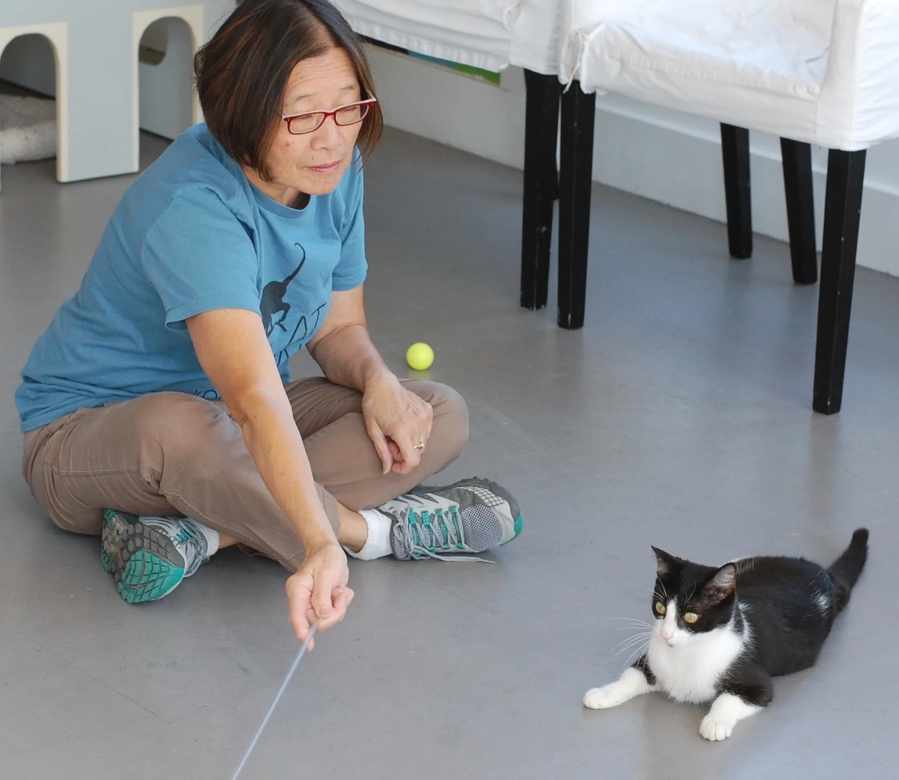 Like many of our volunteers, Mae uses play to help cats build confidence. Photo by Cathy Niland.
