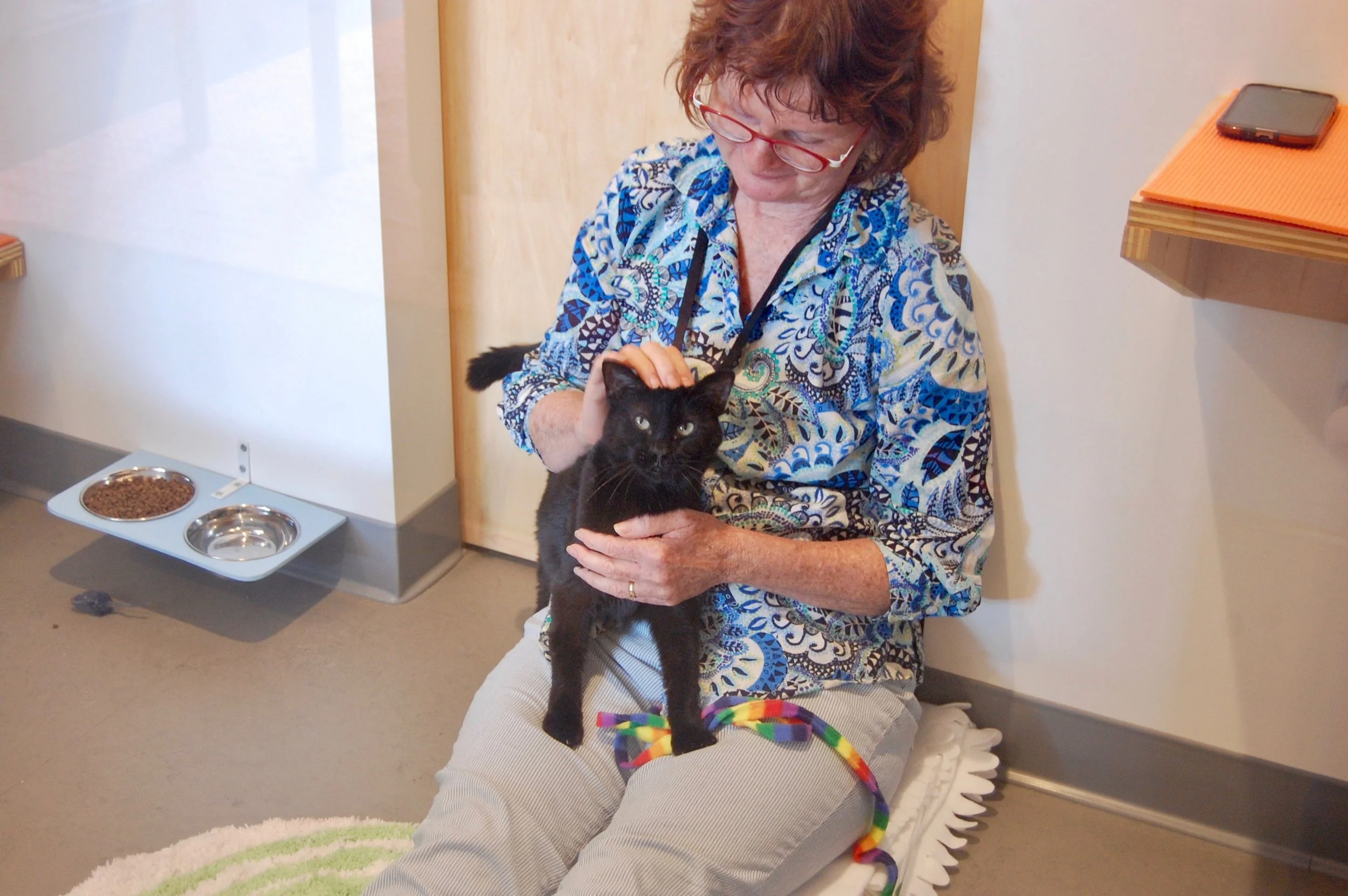 Shelley always makes our cats feel safe and cared for. Photo by Cathy Niland.