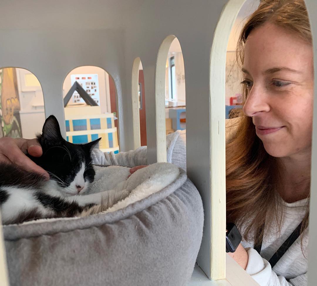 February 2019 Adoptions