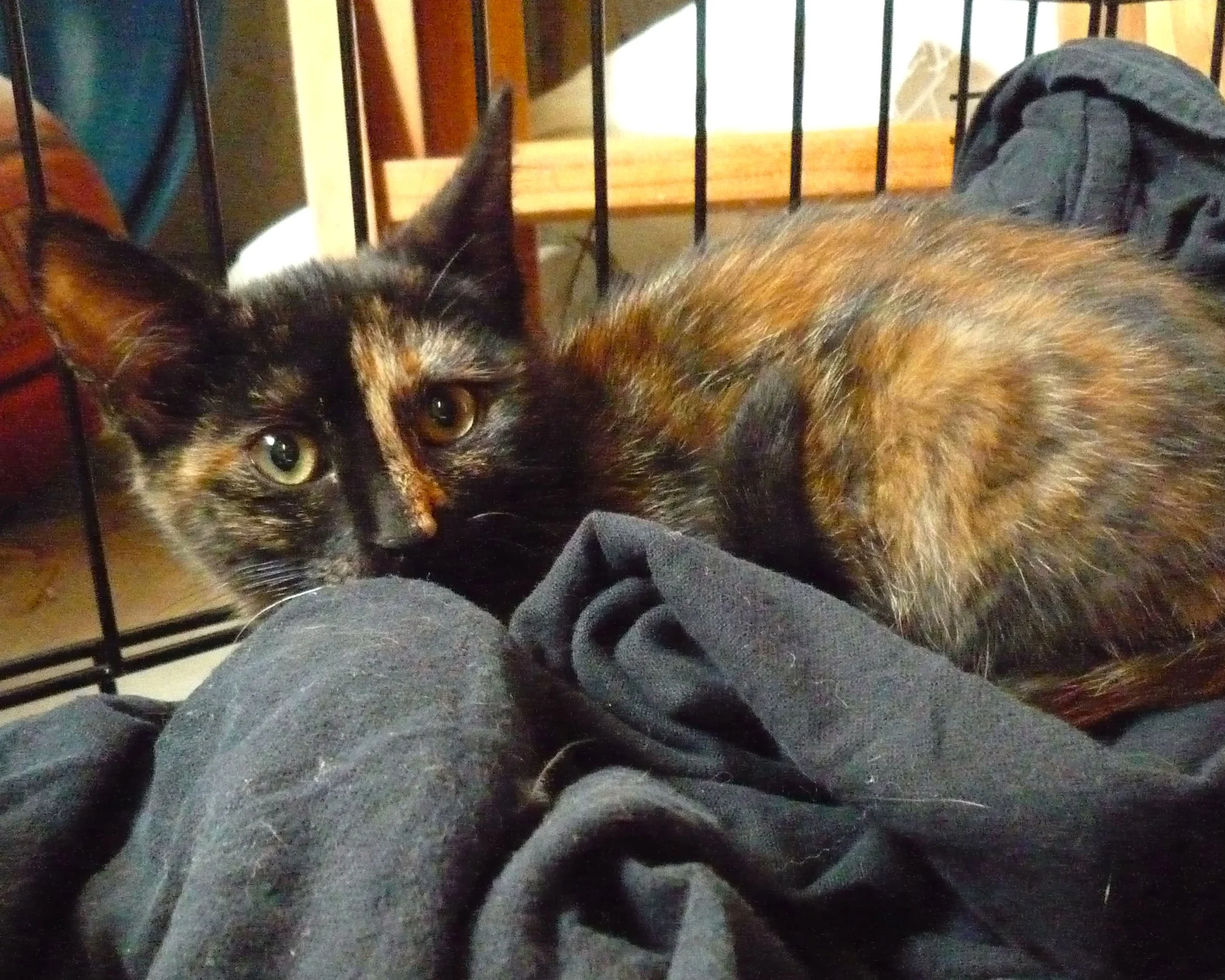 Orbea, before we earned her lifelong love.