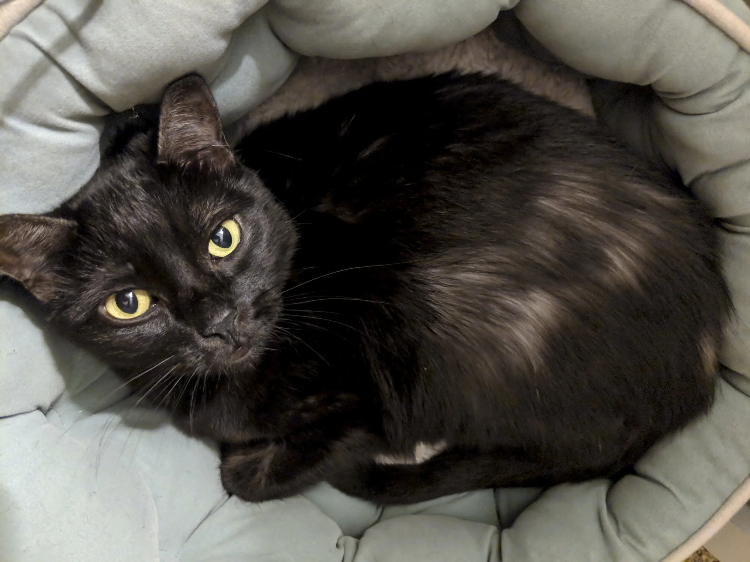 KATYA, 4 YEARS, FEMALE