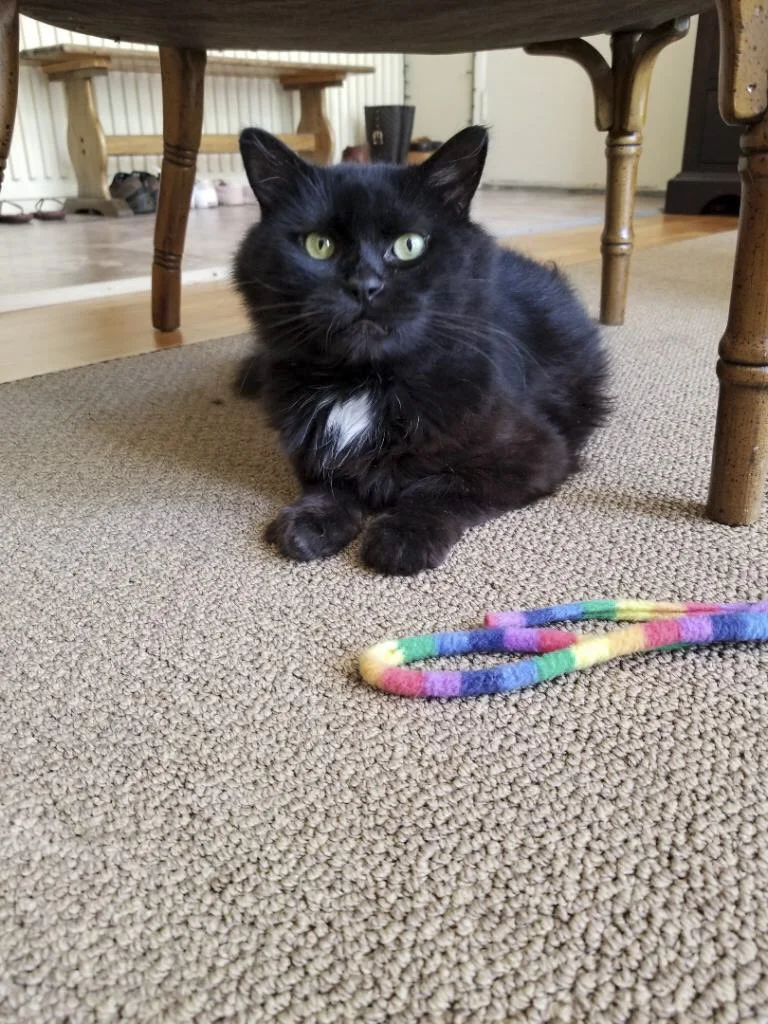 OZ, 3 YEARS, MALE