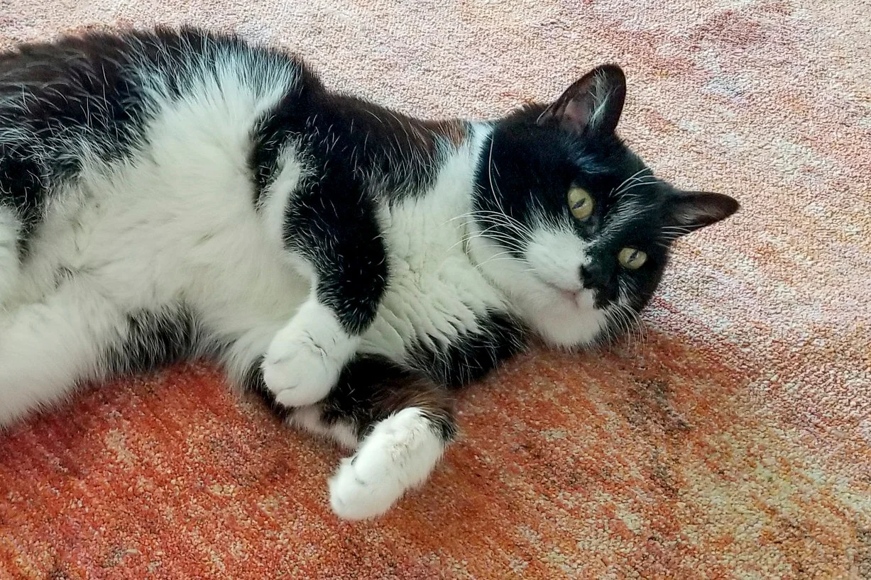 EMMA, 14 YEARS, FEMALE
