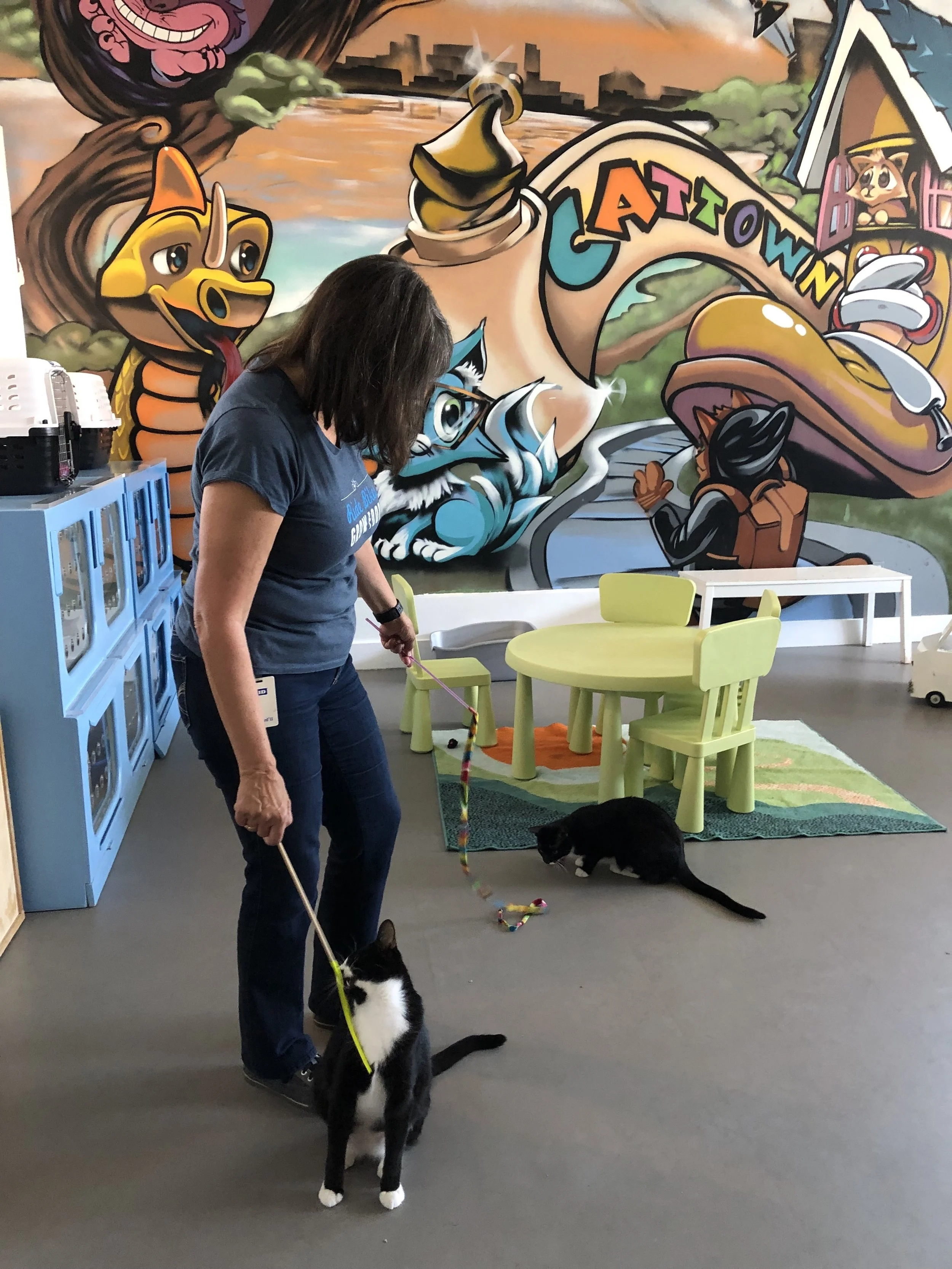 Clif Bar employee Mary also volunteered to spend some time with Cat Town alumni, Acorn and Cashew.