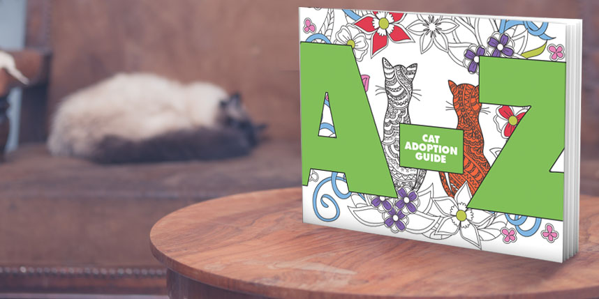 Get the A-Z Adoption Booklet for Cats!