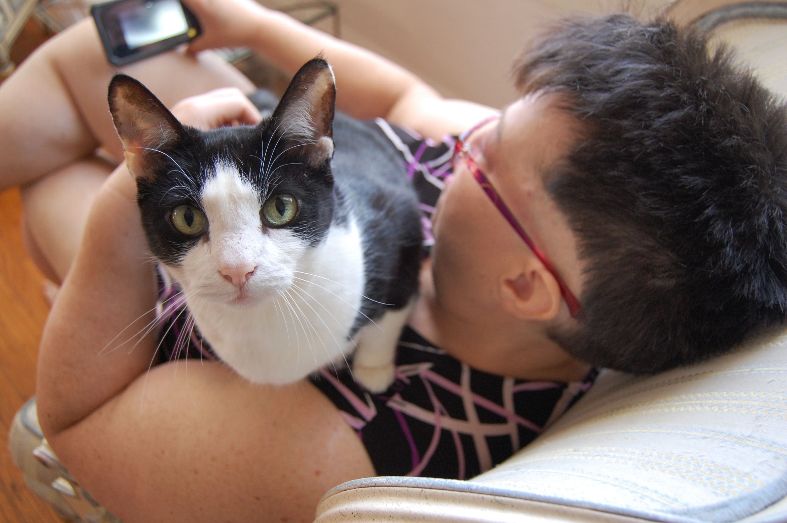 Tips for Photographing Your Cat