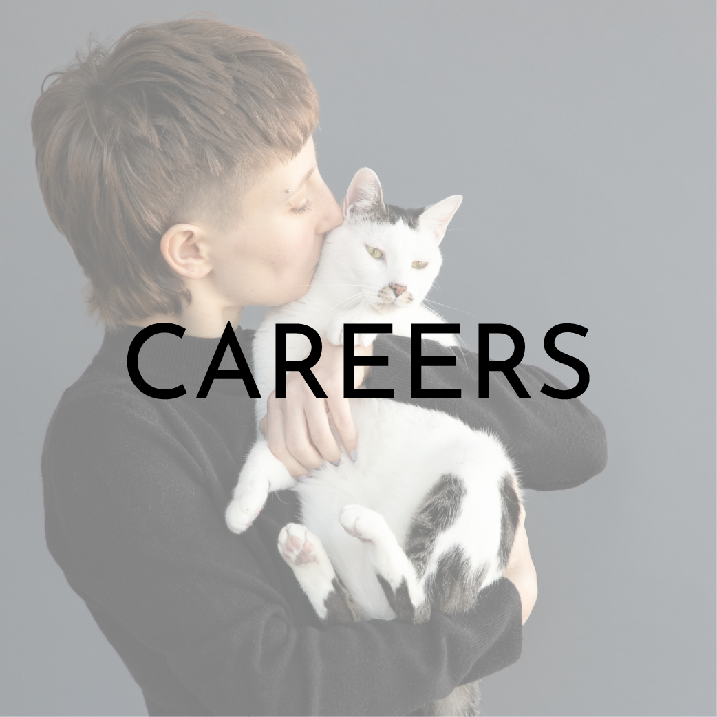 2023_InstagramLinkIcons_Careers.png